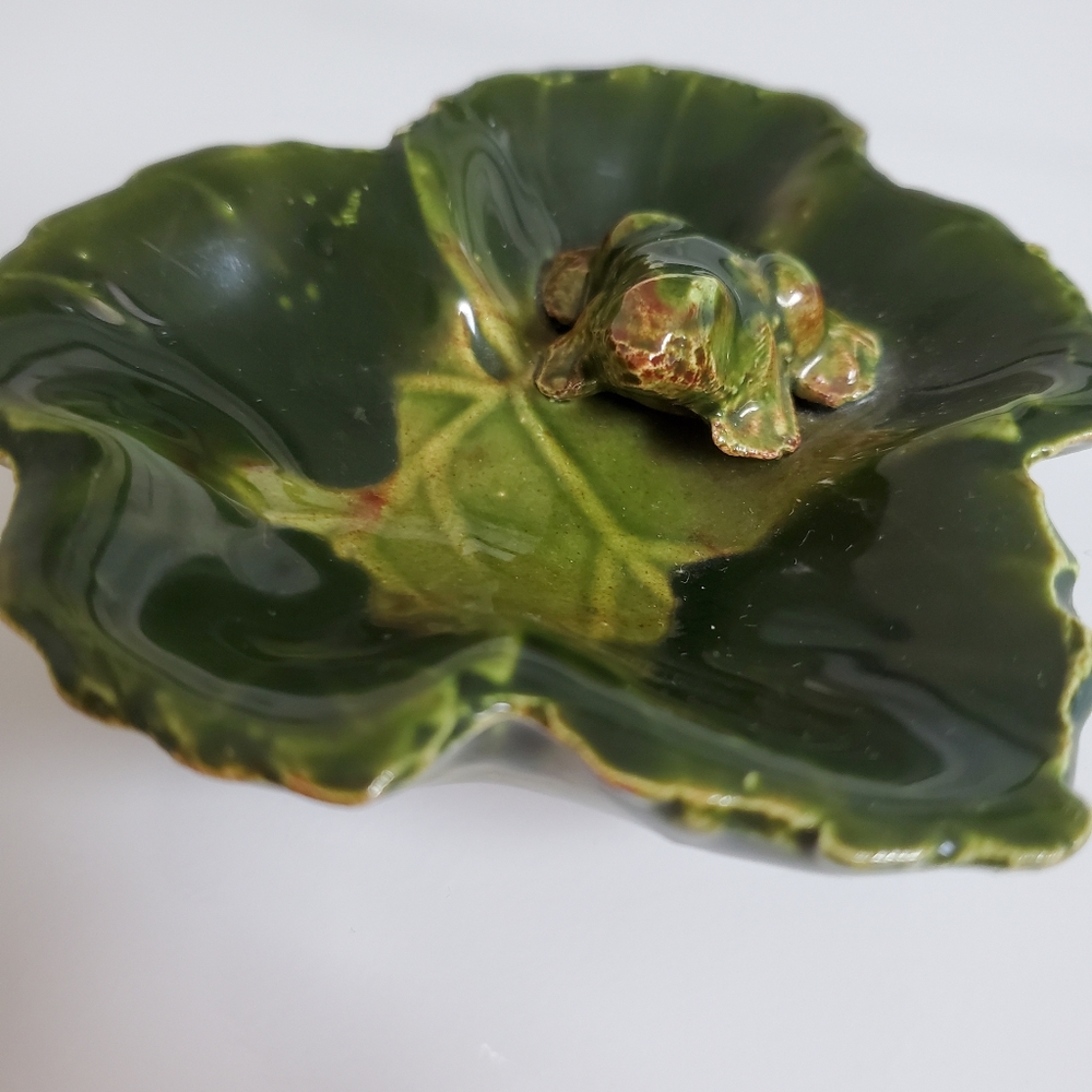 Frog on a leaf display